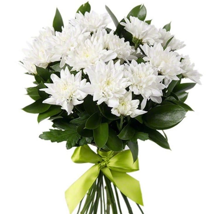 Мой сон от 5 800 руб.